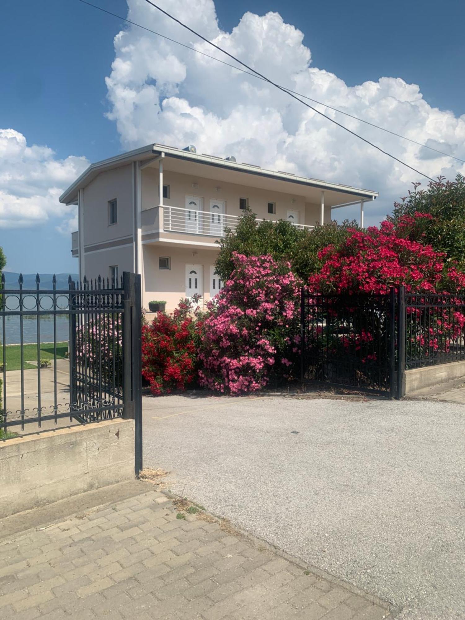 Sunrise Apartments And Studios Dojran エクステリア 写真